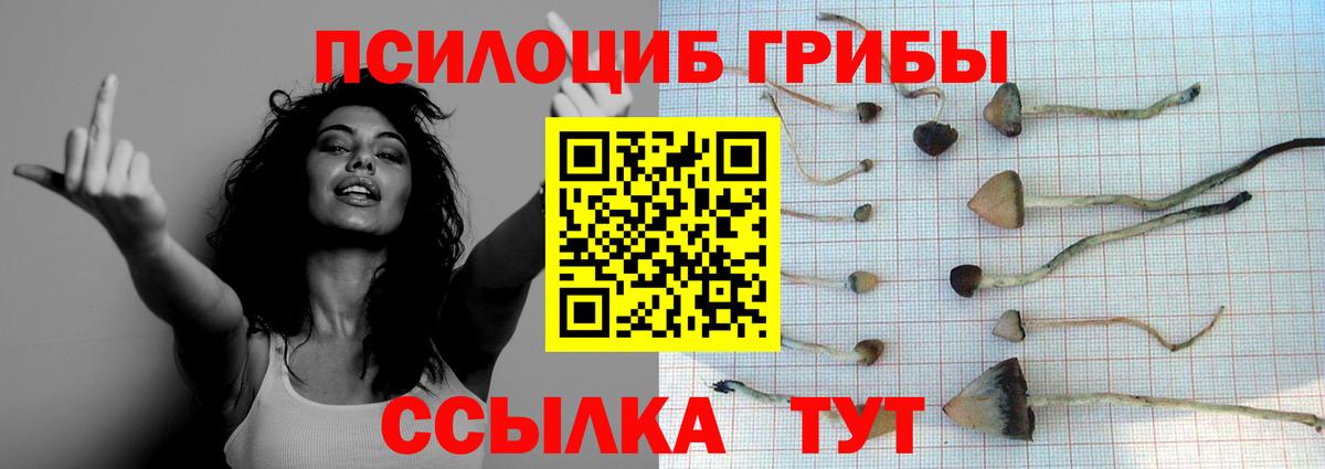 Арзамас  Галлюциногенные грибы Magic Shrooms  Вход с VPN 