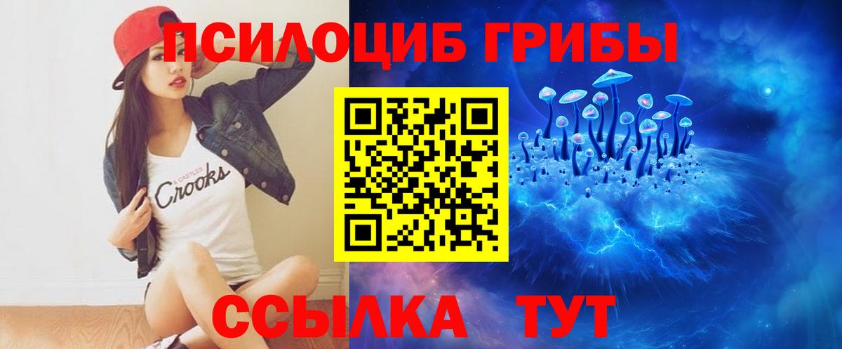 Галлюциногенные грибы Cubensis Арзамас